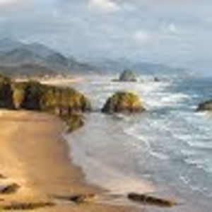 Meet your Posher, Loretta